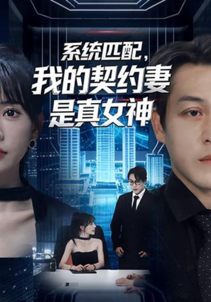 系统匹配，我的契约妻是真女神(全集)