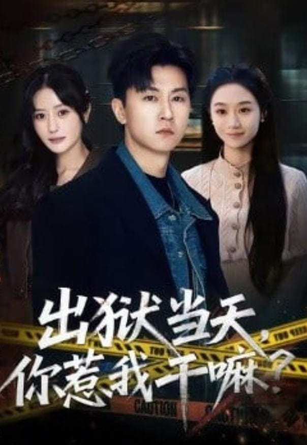 出狱当天，你惹我干嘛？（出狱当天你惹我干嘛）全集