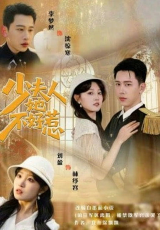 少夫人她不好惹全集