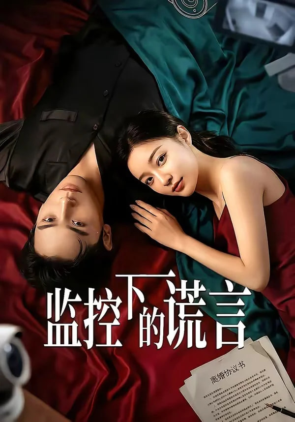 监控下的谎言全集