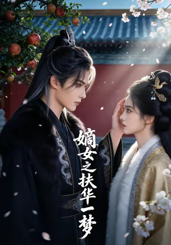 嫡女之扶华一梦全集