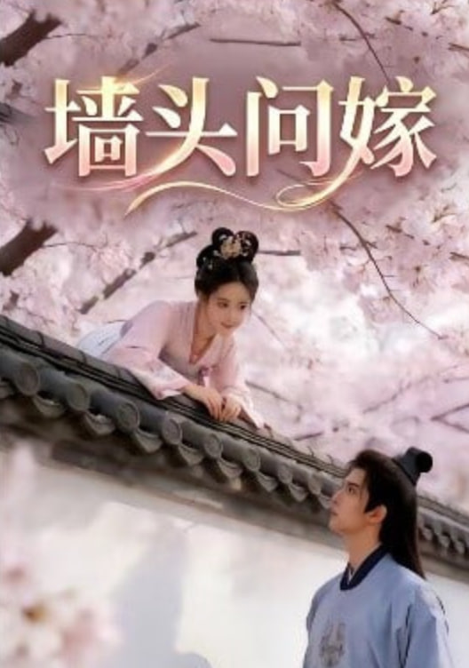 墙头问嫁全集