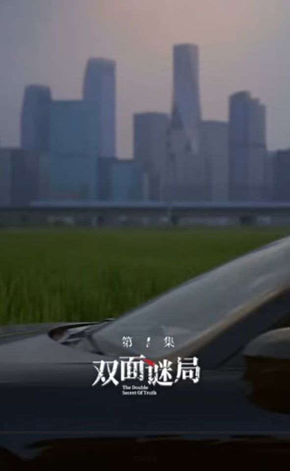 双面婚局全集
