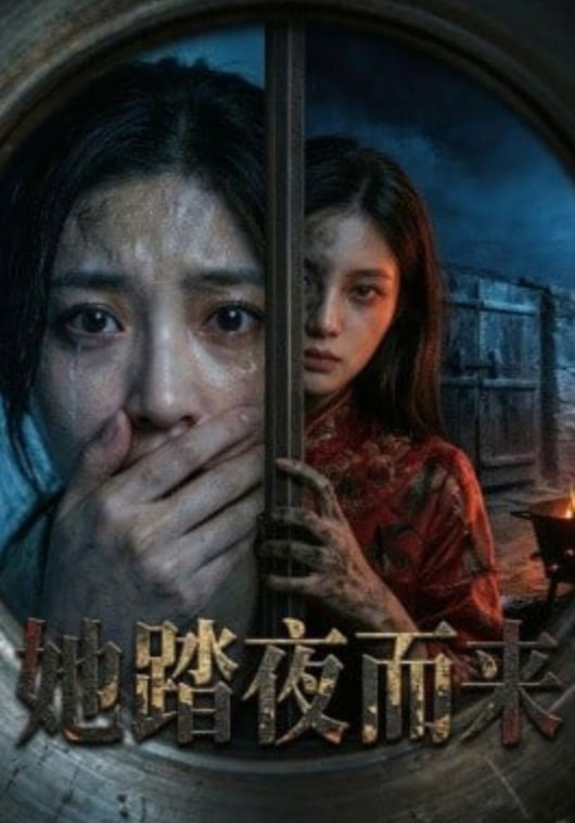 她踏夜而来全集