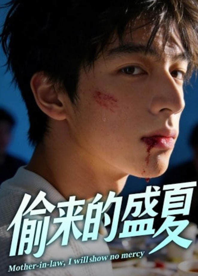 偷来的盛夏全集