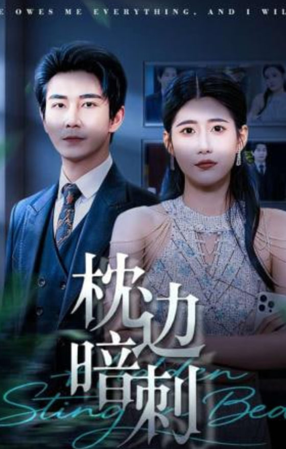 枕边暗刺全集