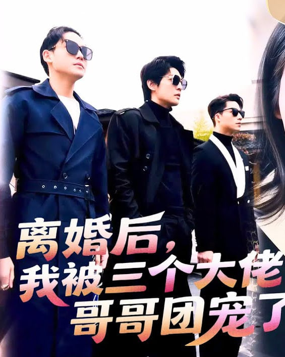 离婚后我带三胞胎嫁给了大佬全集