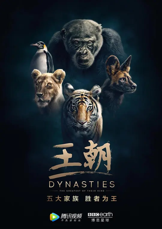 王朝 第一季全集