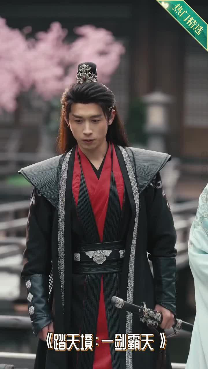 踏天境一剑霸天全集