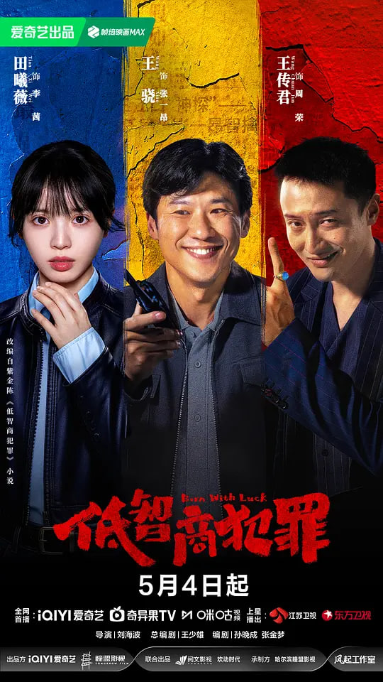 低智商犯罪全集