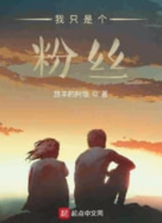 我只是个粉丝全集