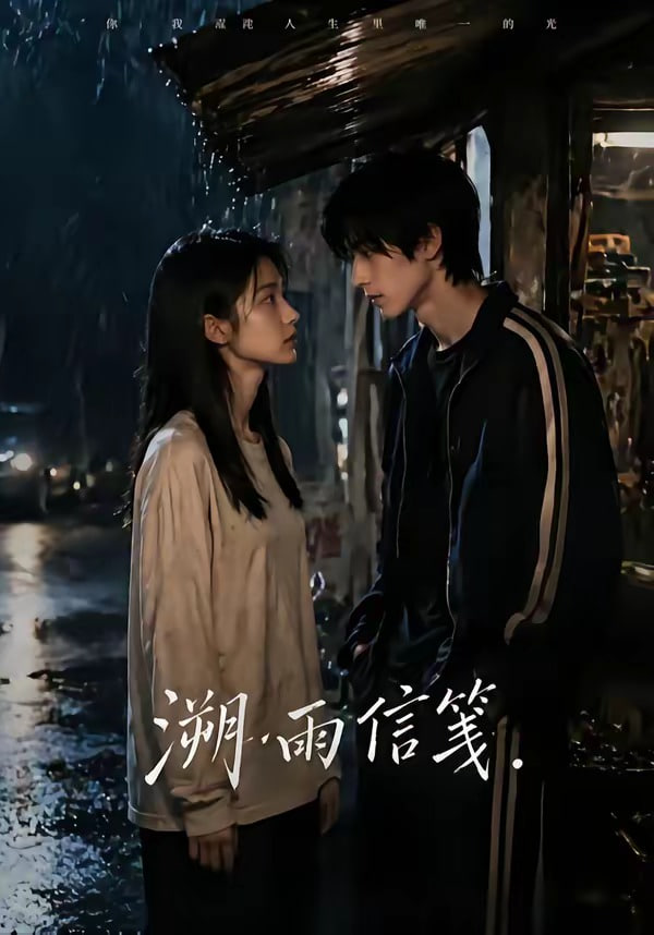 溯雨信笺全集