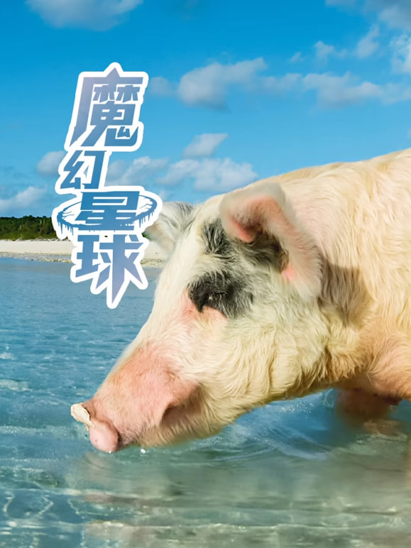魔幻星球全集