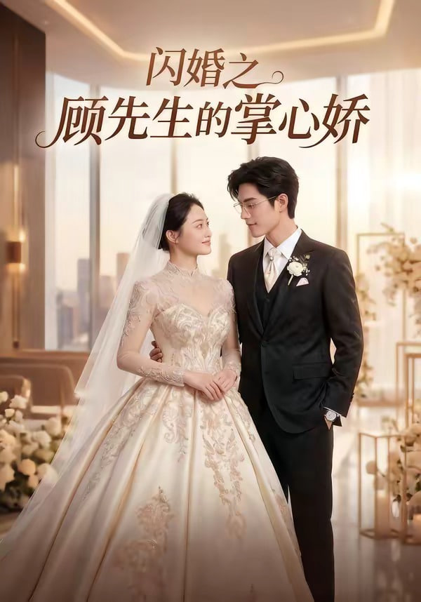 闪婚之顾先生的掌心娇全集