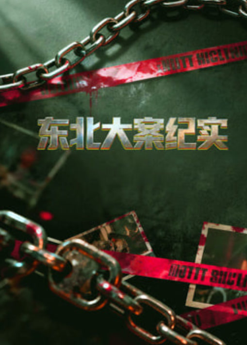 东北大案纪实全集