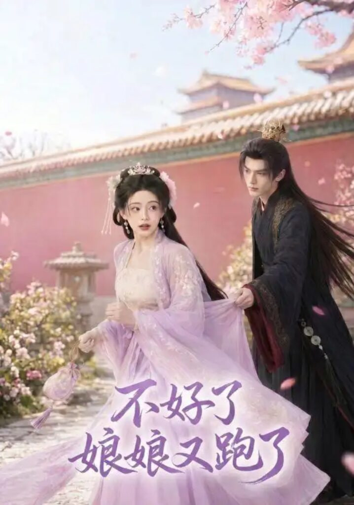不好了，娘娘又跑了全集
