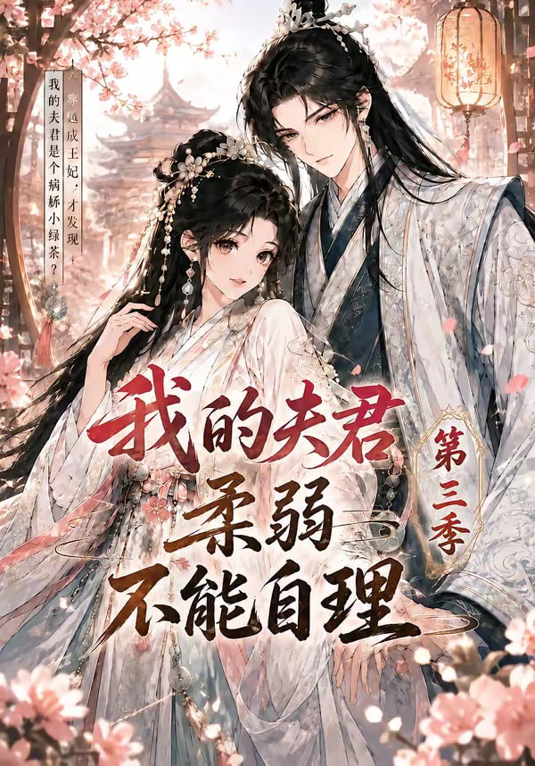 我的夫君柔弱不能自理第三季全集