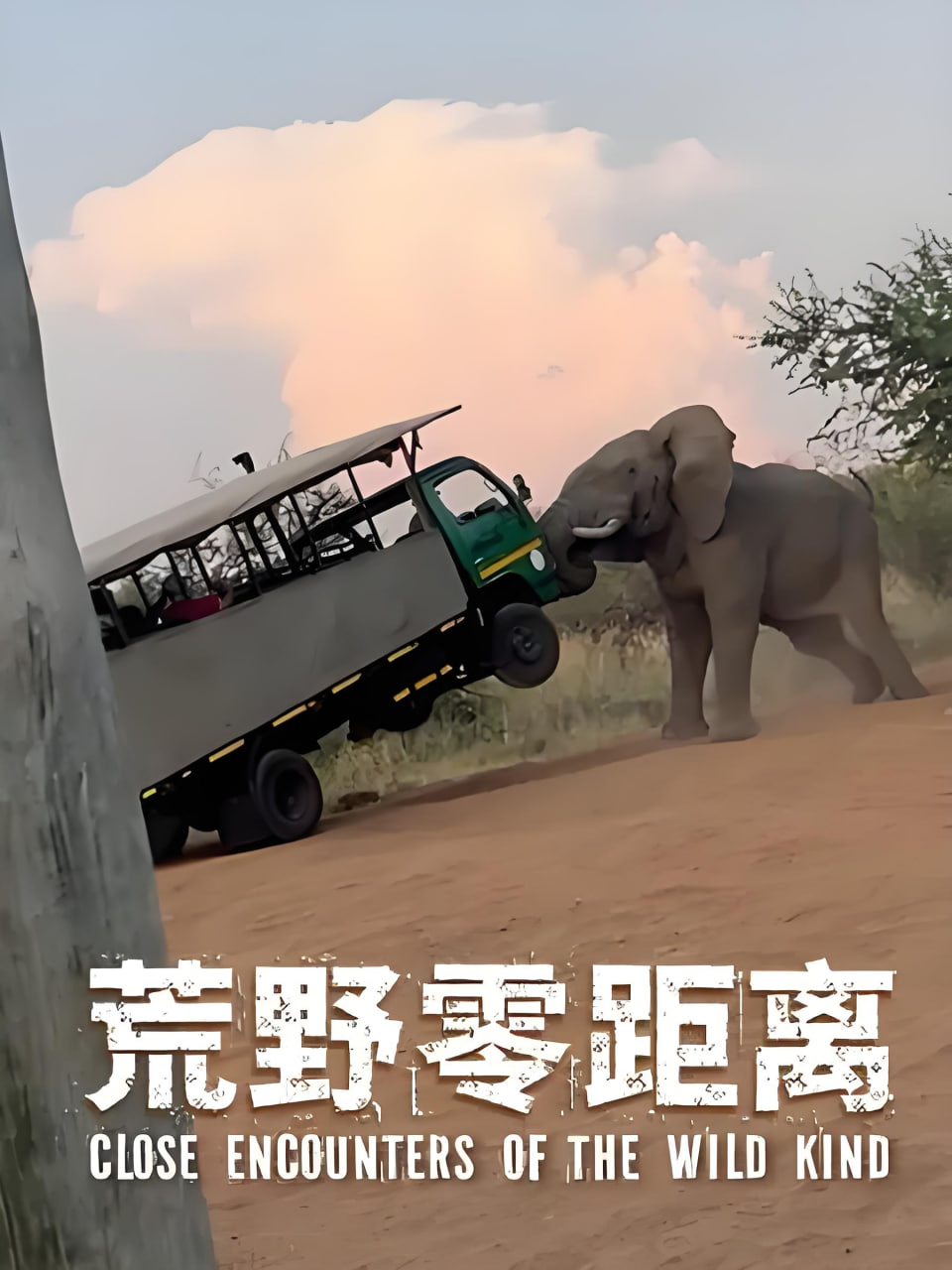 荒野零距离全集