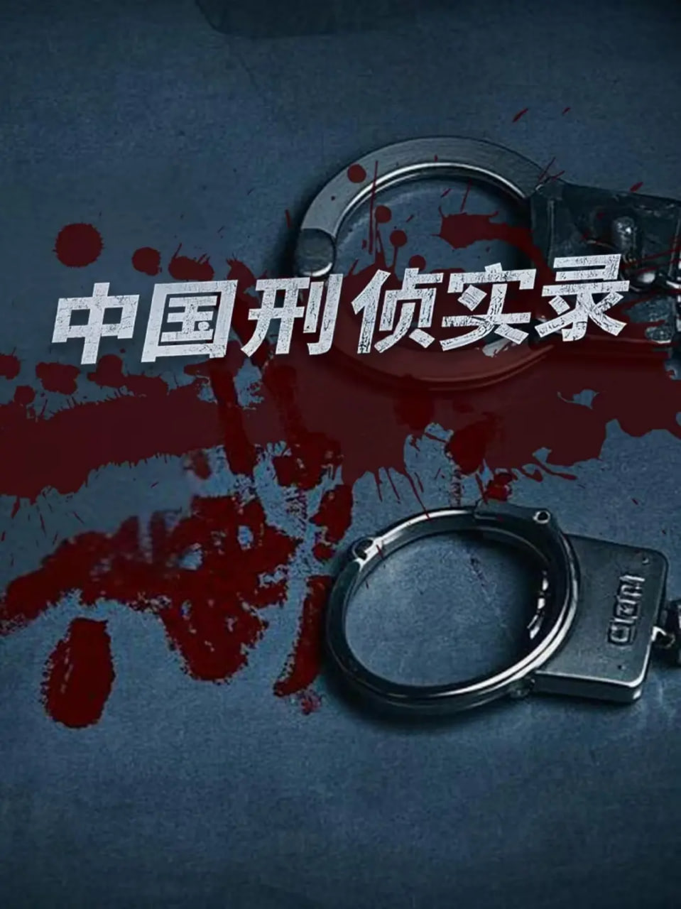 中国刑侦实录第一季全集