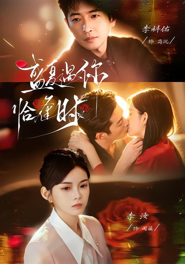 婚夜温柔（盛夏遇你恰逢时 ）全集