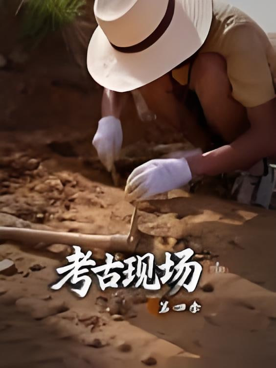 X档案·考古现场第四季全集