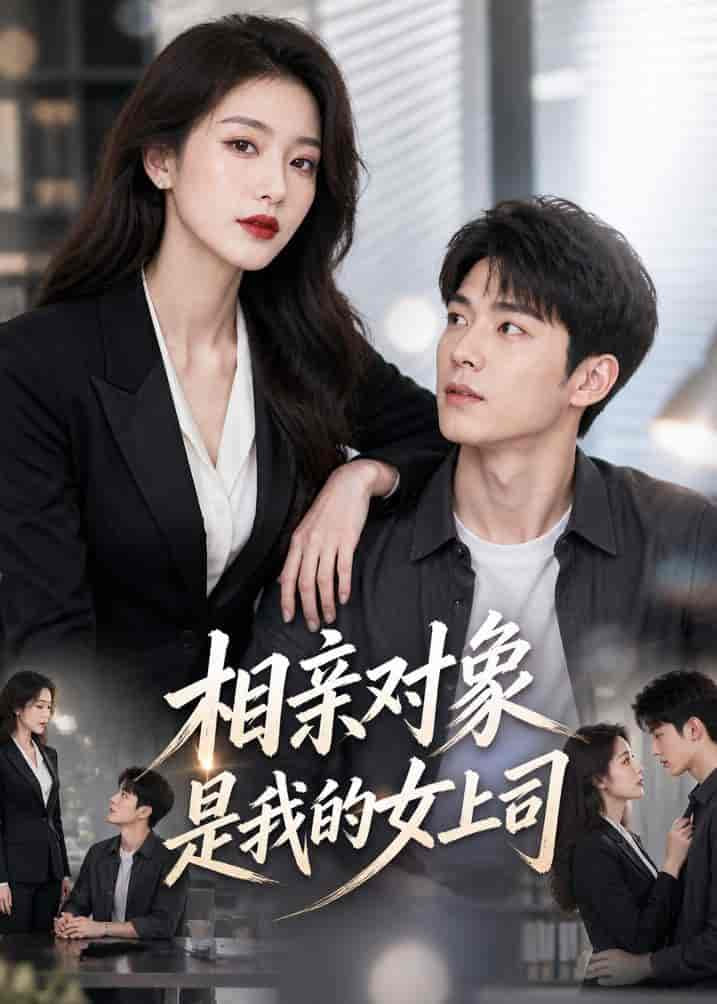 相亲对象是我的女上司全集