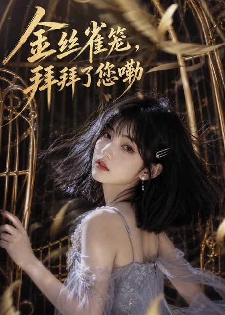 金丝雀笼，拜拜了您嘞全集