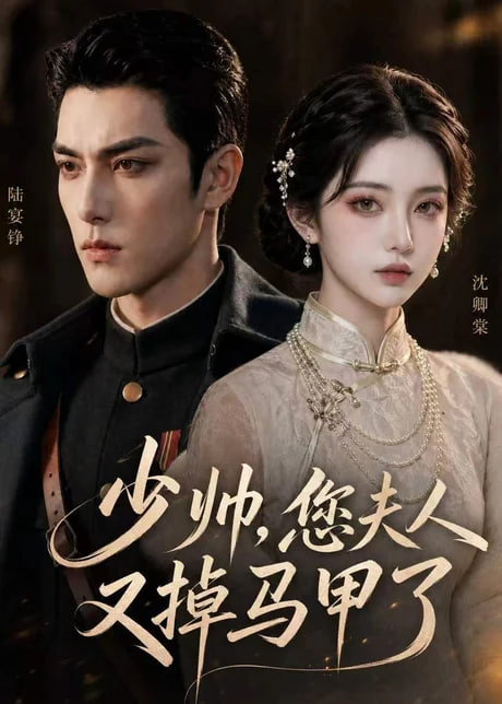 少帅，您夫人又掉马甲了全集