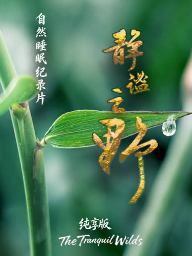 静谧之野 纯享版全集