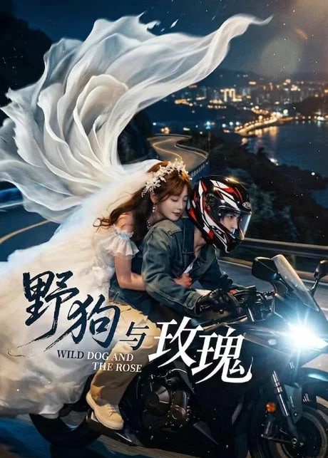 野狗与玫瑰全集