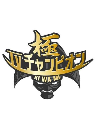 电视冠军之极全集