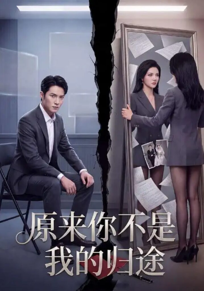 原来你不是我的归途全集