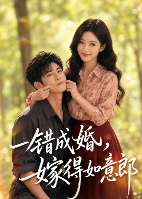 一错成婚，嫁得如意郎全集