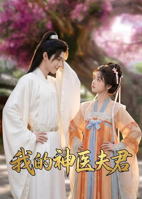 我的神医夫君全集