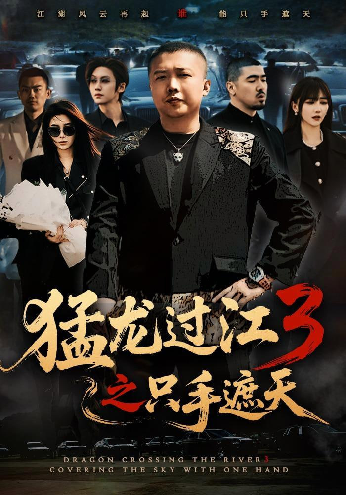 猛龙过江 3 之只手遮天全集