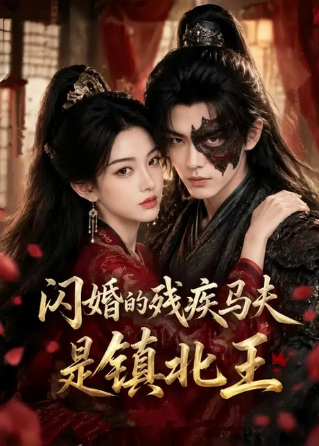 闪婚的残疾马夫是镇北王全集