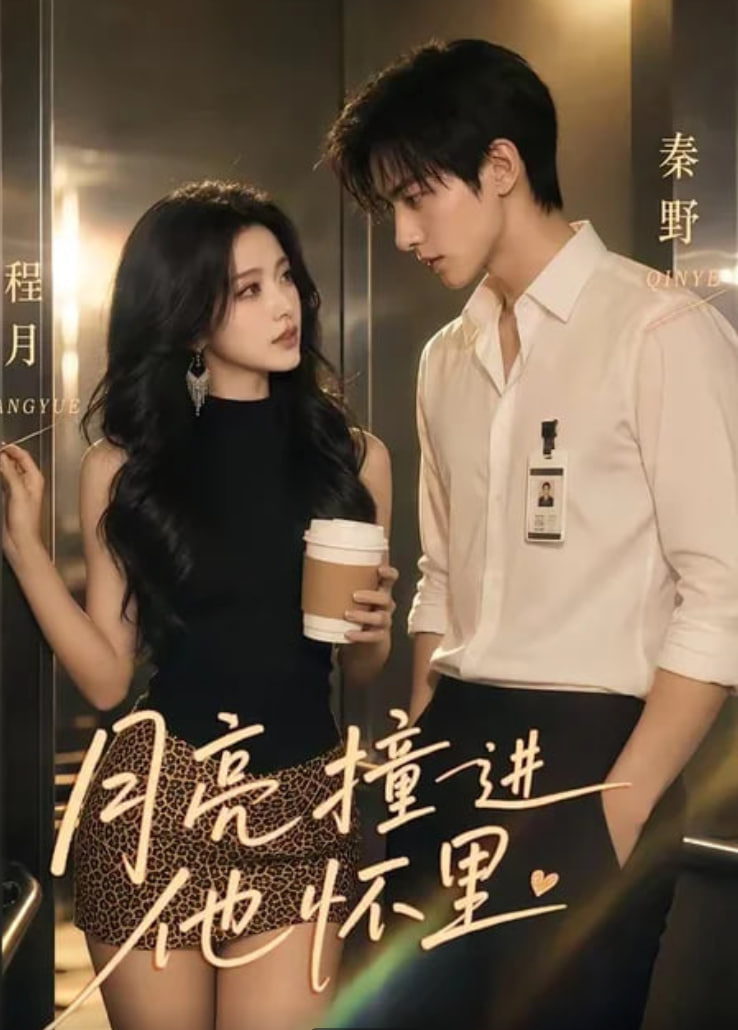 月亮撞进他怀里全集