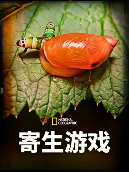 寄生游戏 第一季 国语版