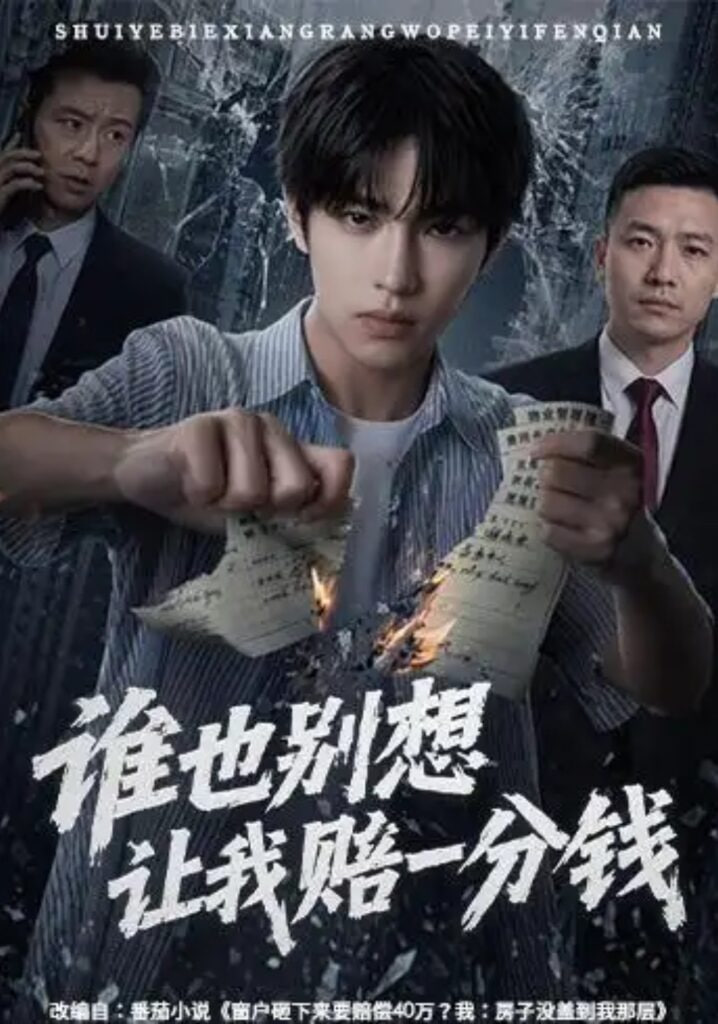谁也别想让我赔一分钱全集