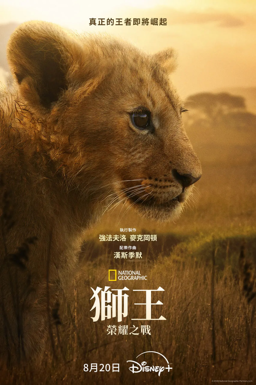 狮王：荣耀之战全集