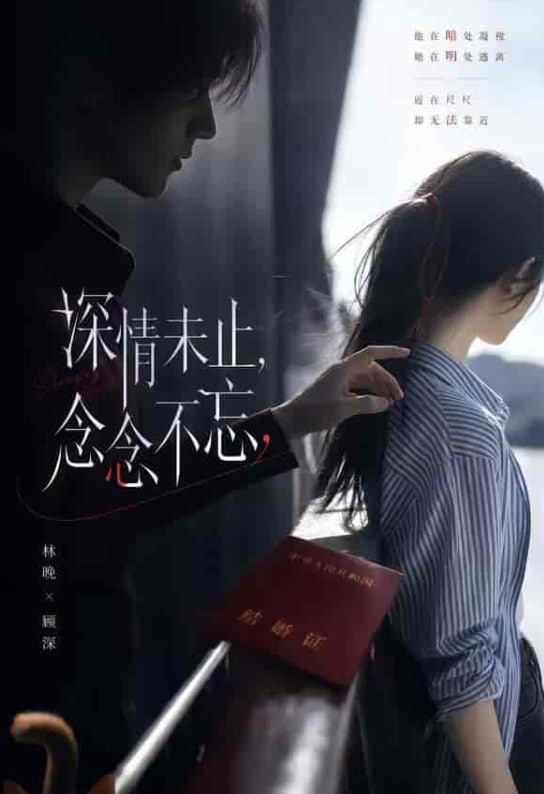 深情未止，念念不忘全集
