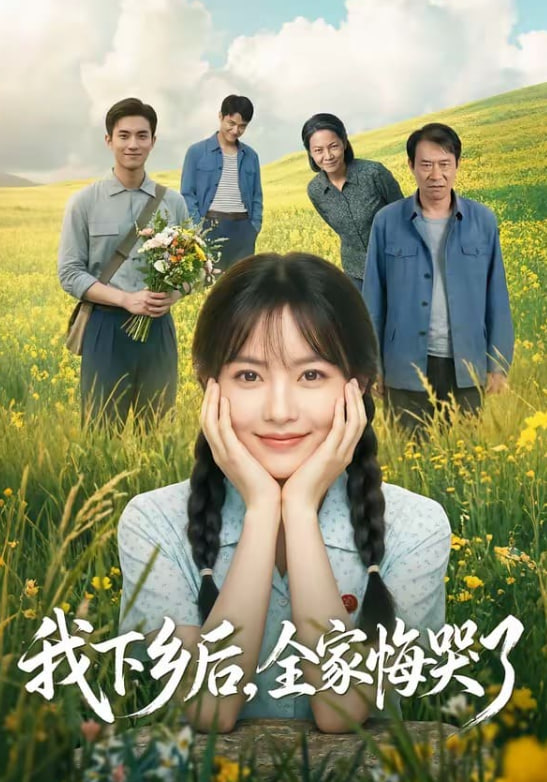 我下乡后，全家悔哭了全集