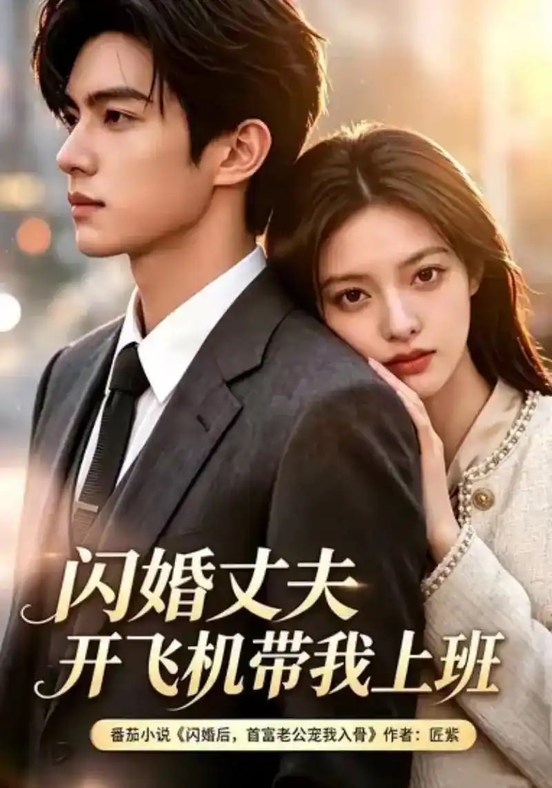 闪婚丈夫，开飞机带我上班第三季全集