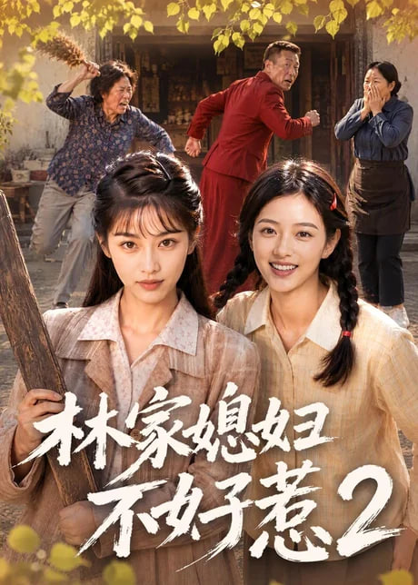 林家媳妇不好惹2全集