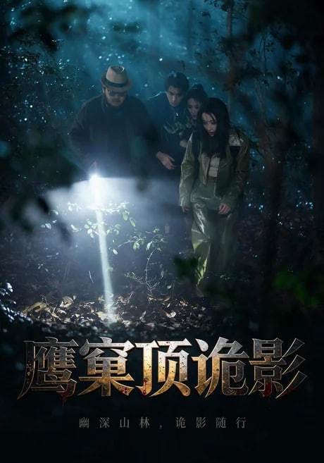 鹰窠顶诡影全集