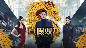 真假双龙 归龙 冒牌赘婿第全集