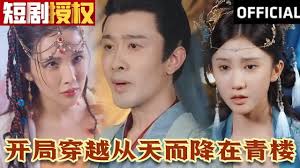 开局穿越从天而降在青楼我知你心全集