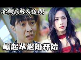 崛起从退婚开始全集