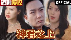 神君之上全集