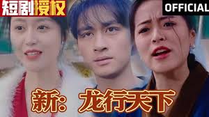 新龙行天下全集